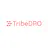 Tribe DAO