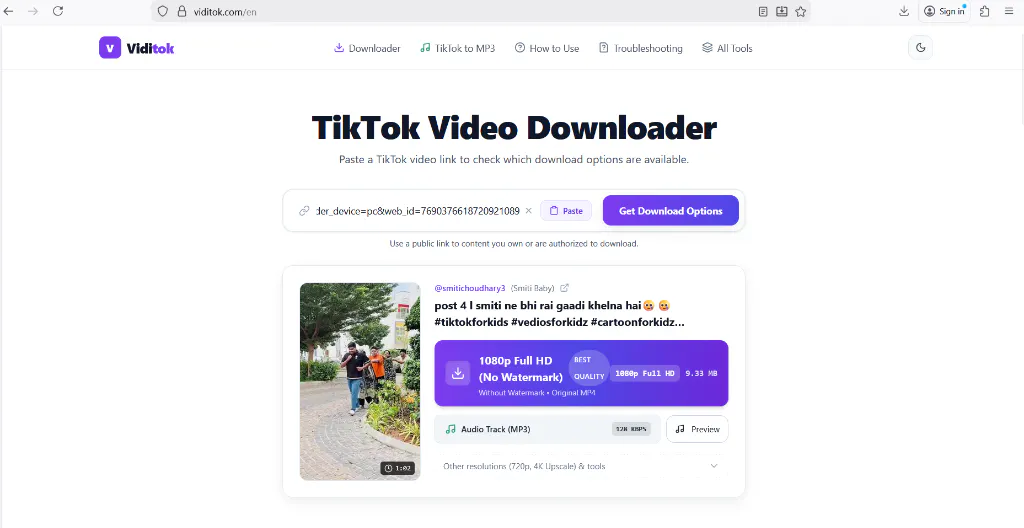 Viditok gallery image
