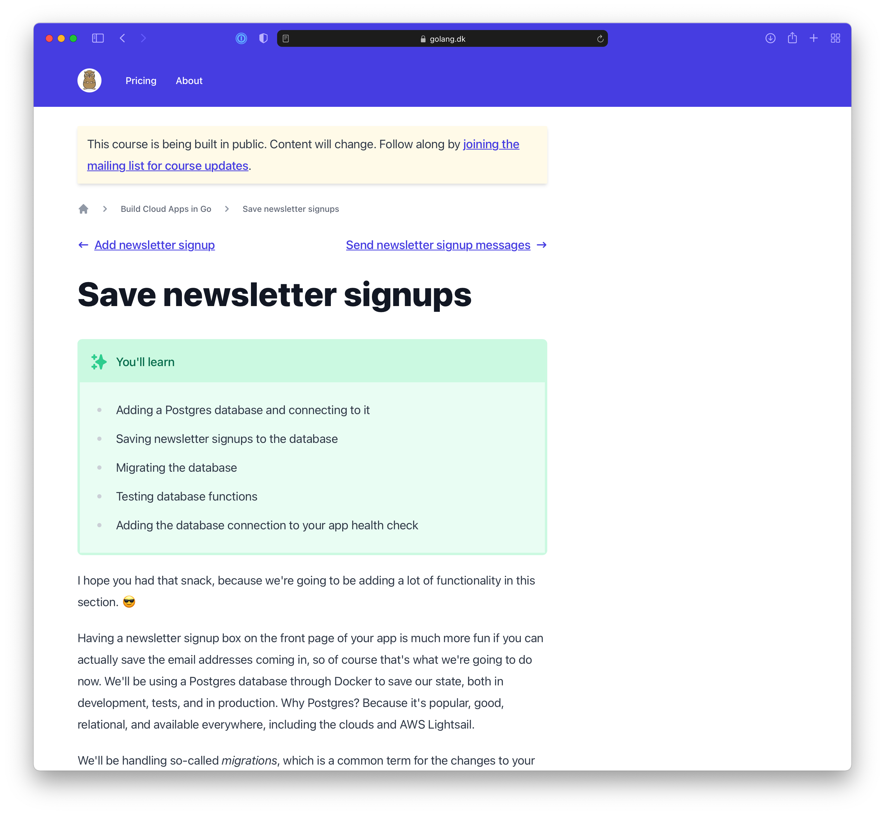 golang.dk gallery image