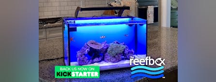 Poll option theReefbox™ - A Revolutionary All-in-One Aquarium Design image