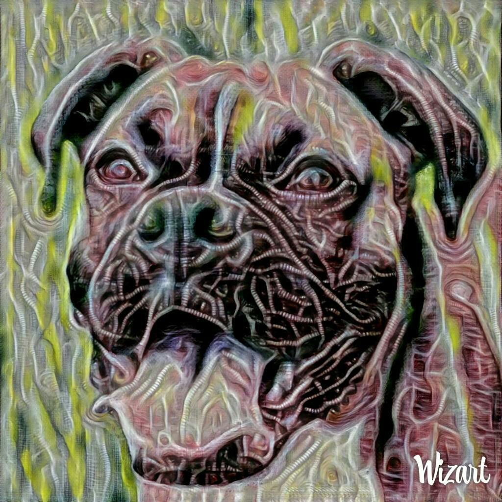 Wizart App Android App gallery image