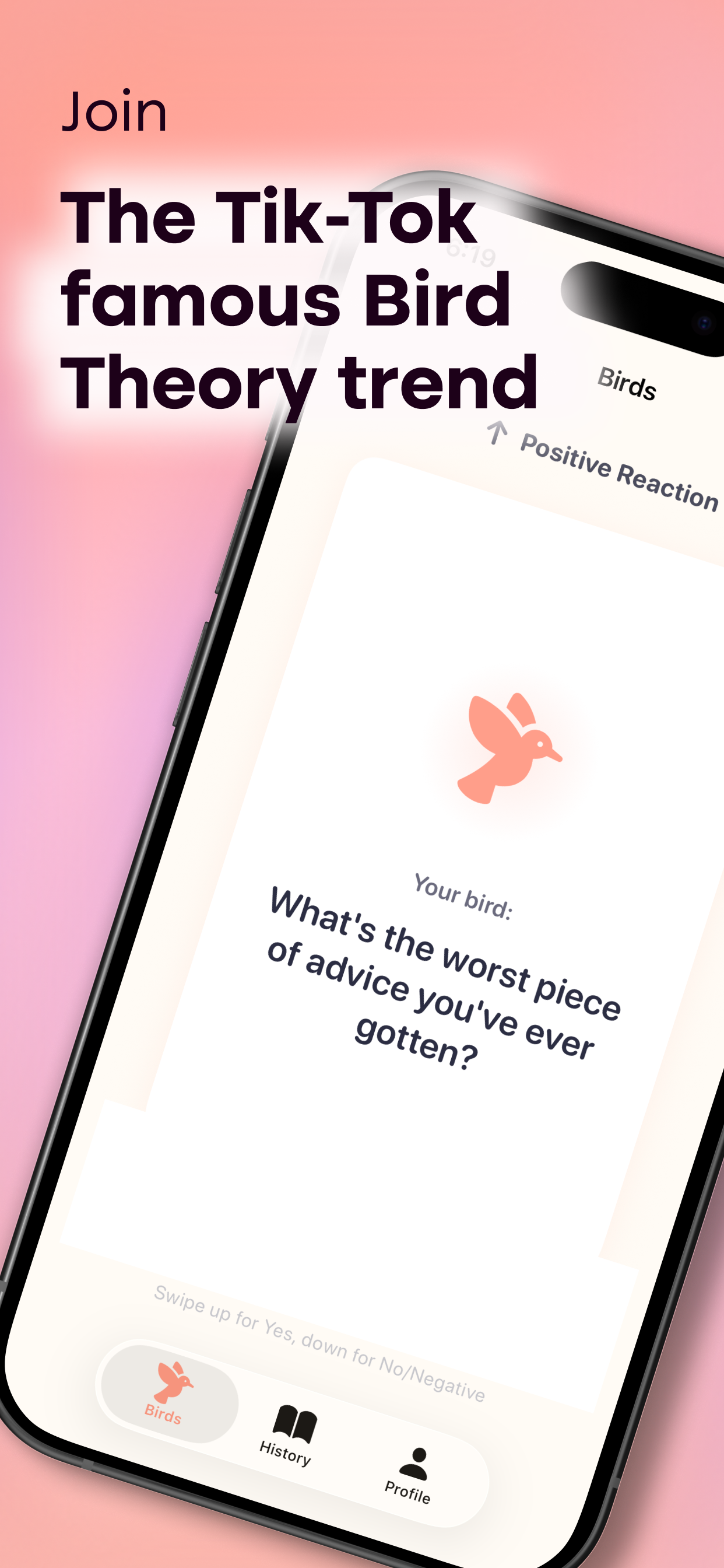 Bird Theory: Couple Test gallery image