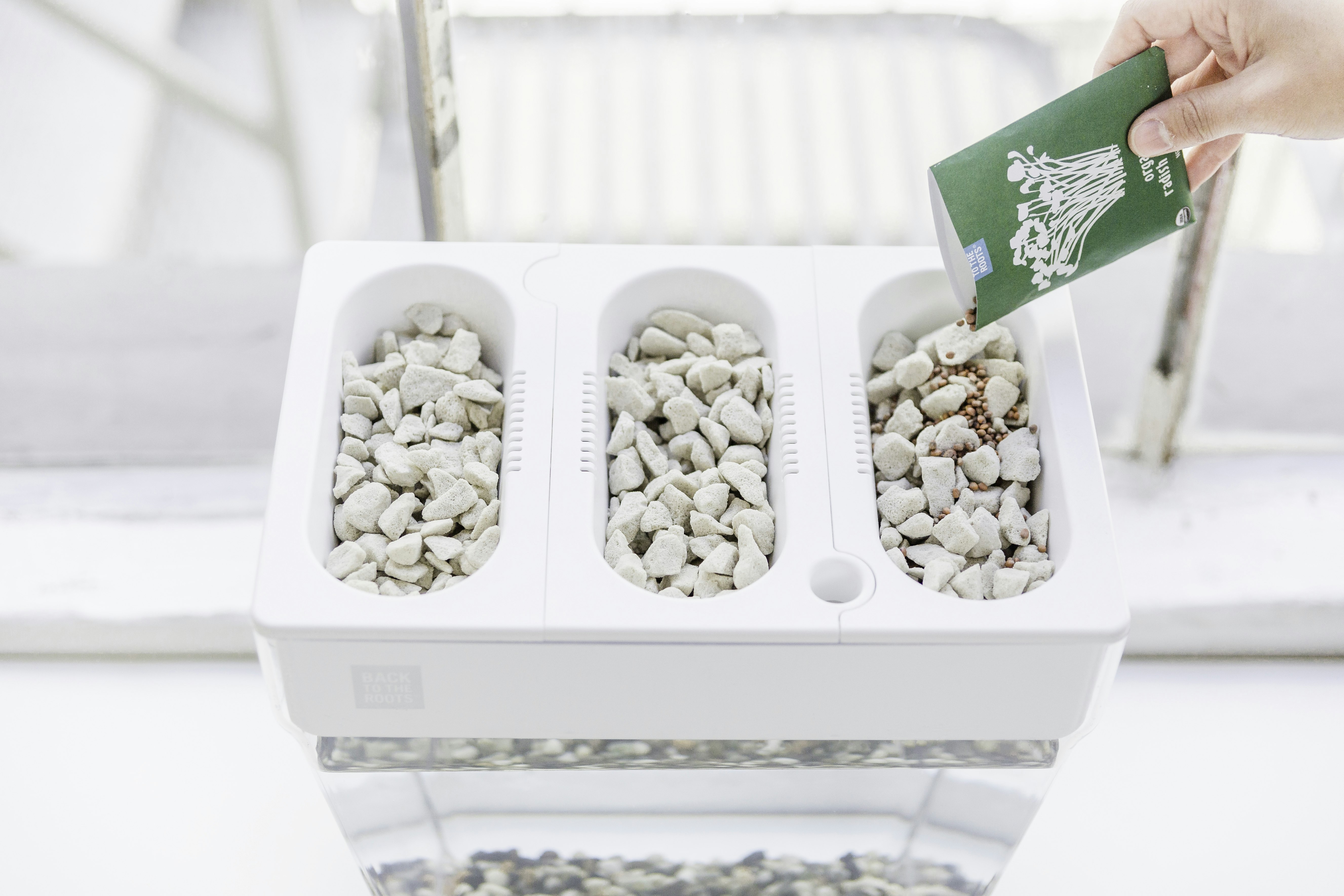 Water Garden gallery image