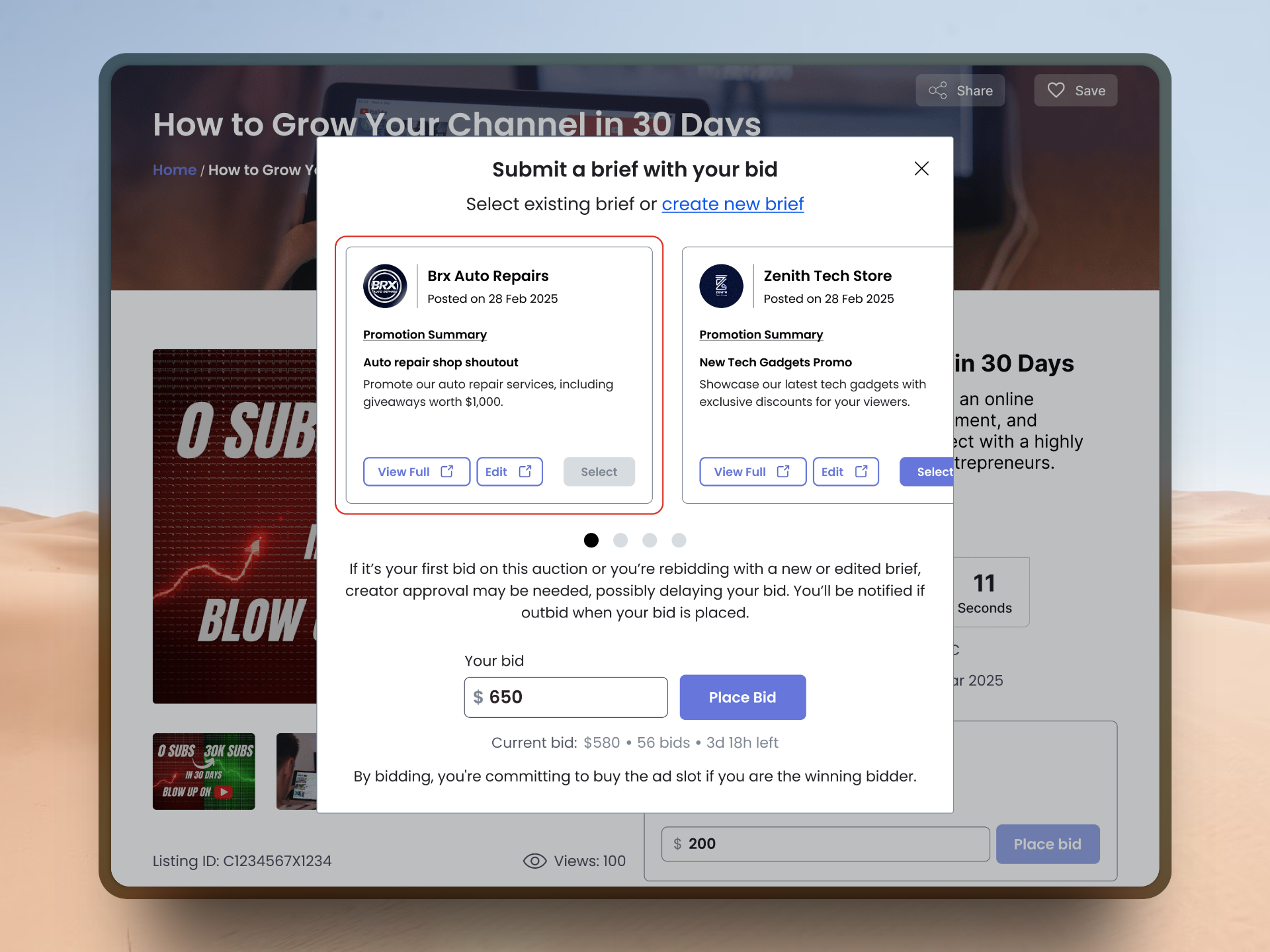 BidVid gallery image