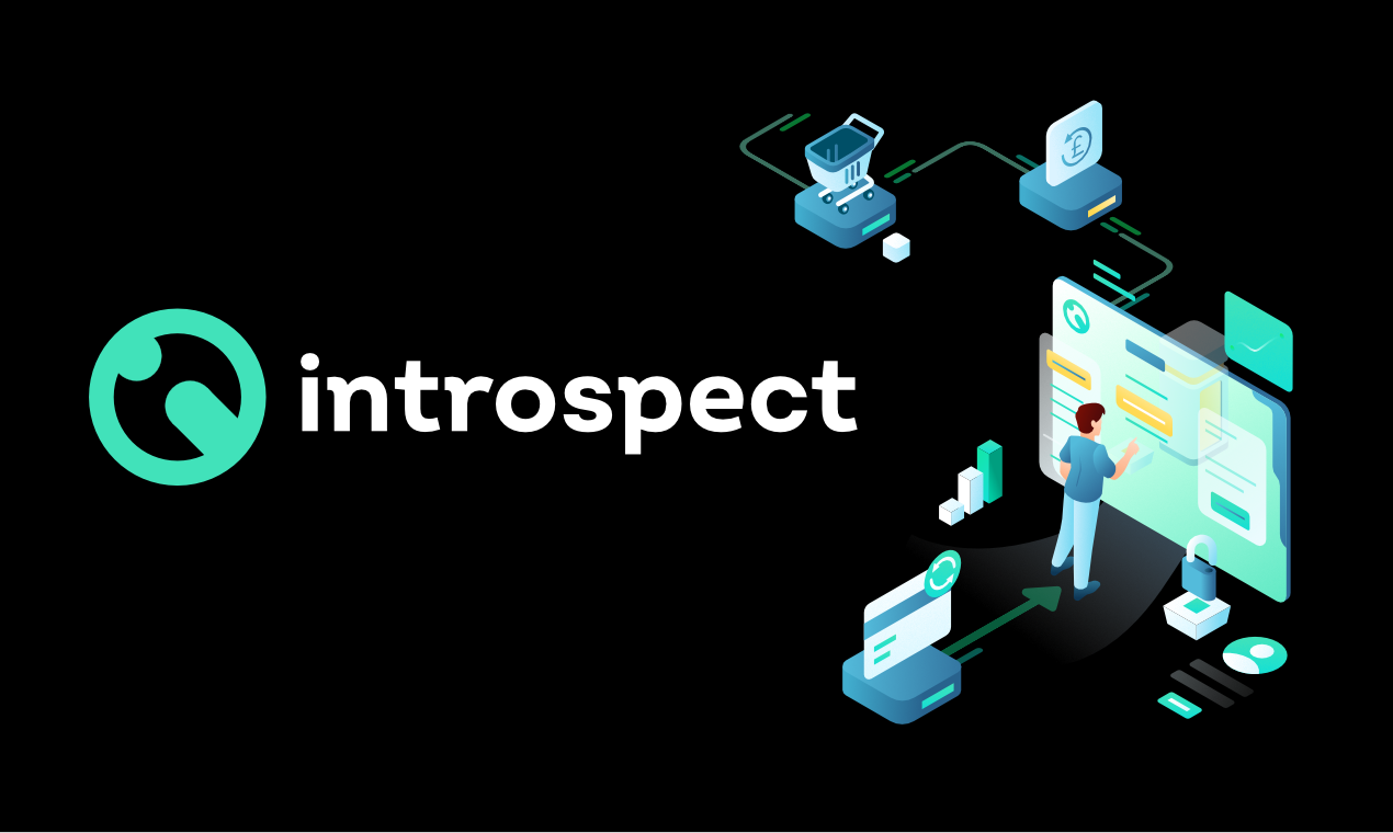 Introspect gallery image