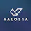 Valossa Assistant