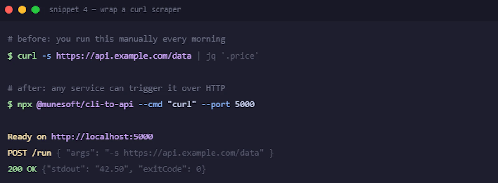 cli-to-api screenshot 2