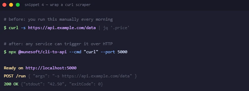 cli-to-api screenshot 2