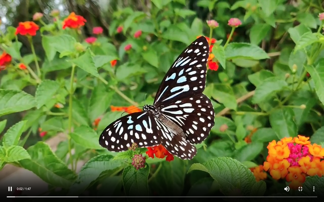 ComiFix gallery image