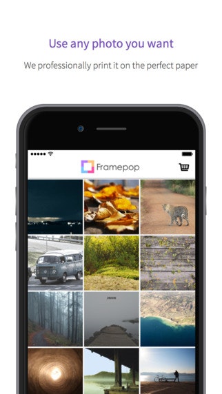 Framepop gallery image