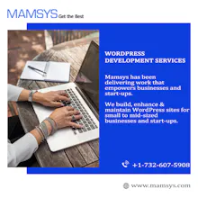 WordPress solutions gallery image