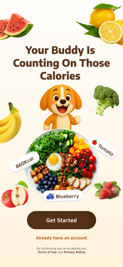 Calorie Tracker Buddy - Product Hunt launch logo and brand identity