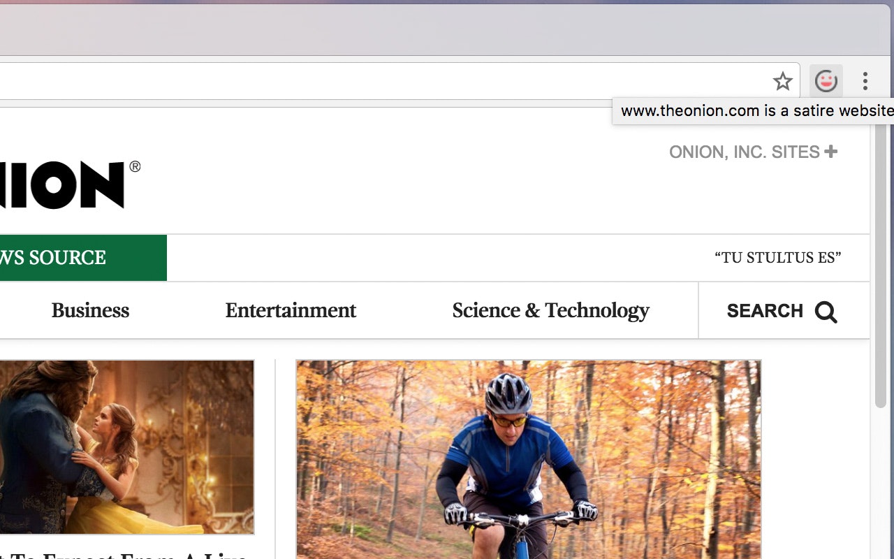 Fake News Monitor gallery image