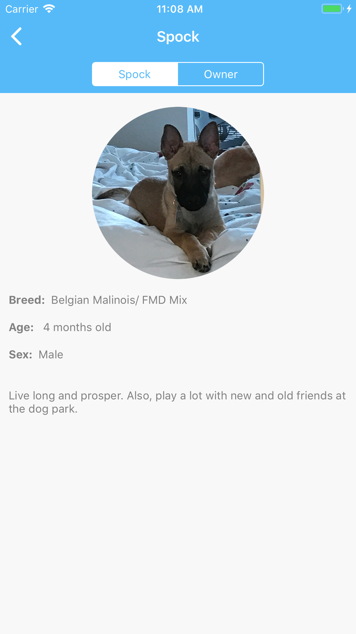 MooseOnTheLoose gallery image