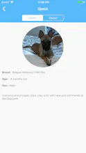 MooseOnTheLoose gallery image