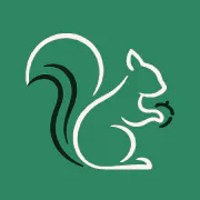 Healthy Squirrel