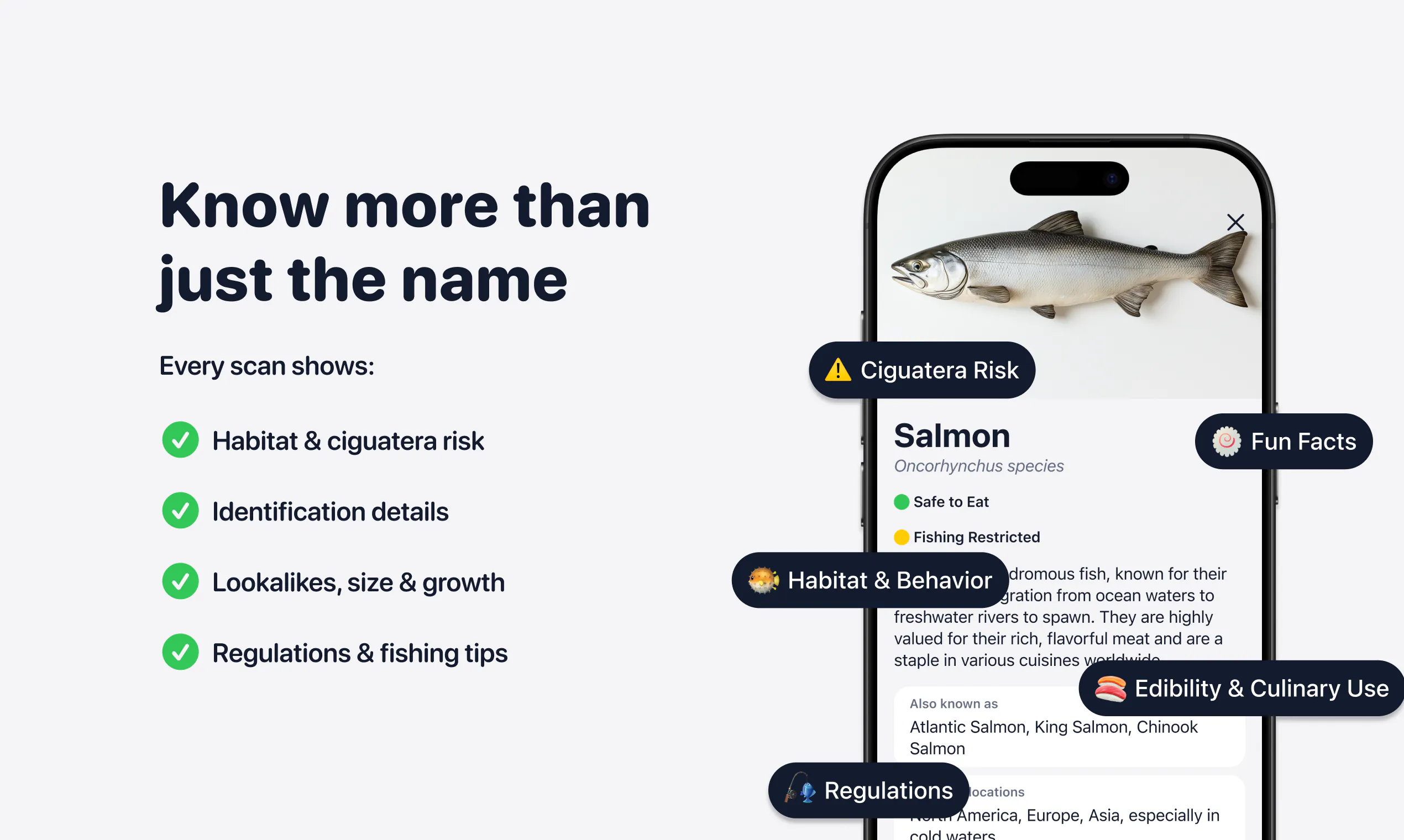FishPic gallery image