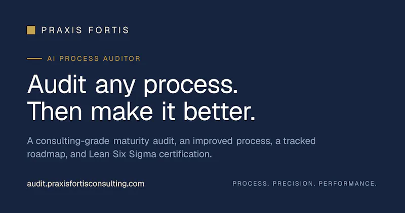 Praxis Fortis Process Auditor screenshot 1