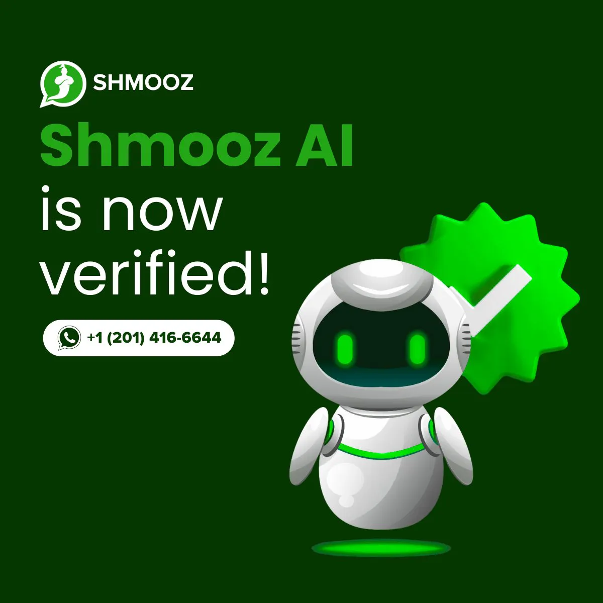 Shmooz AI gallery image