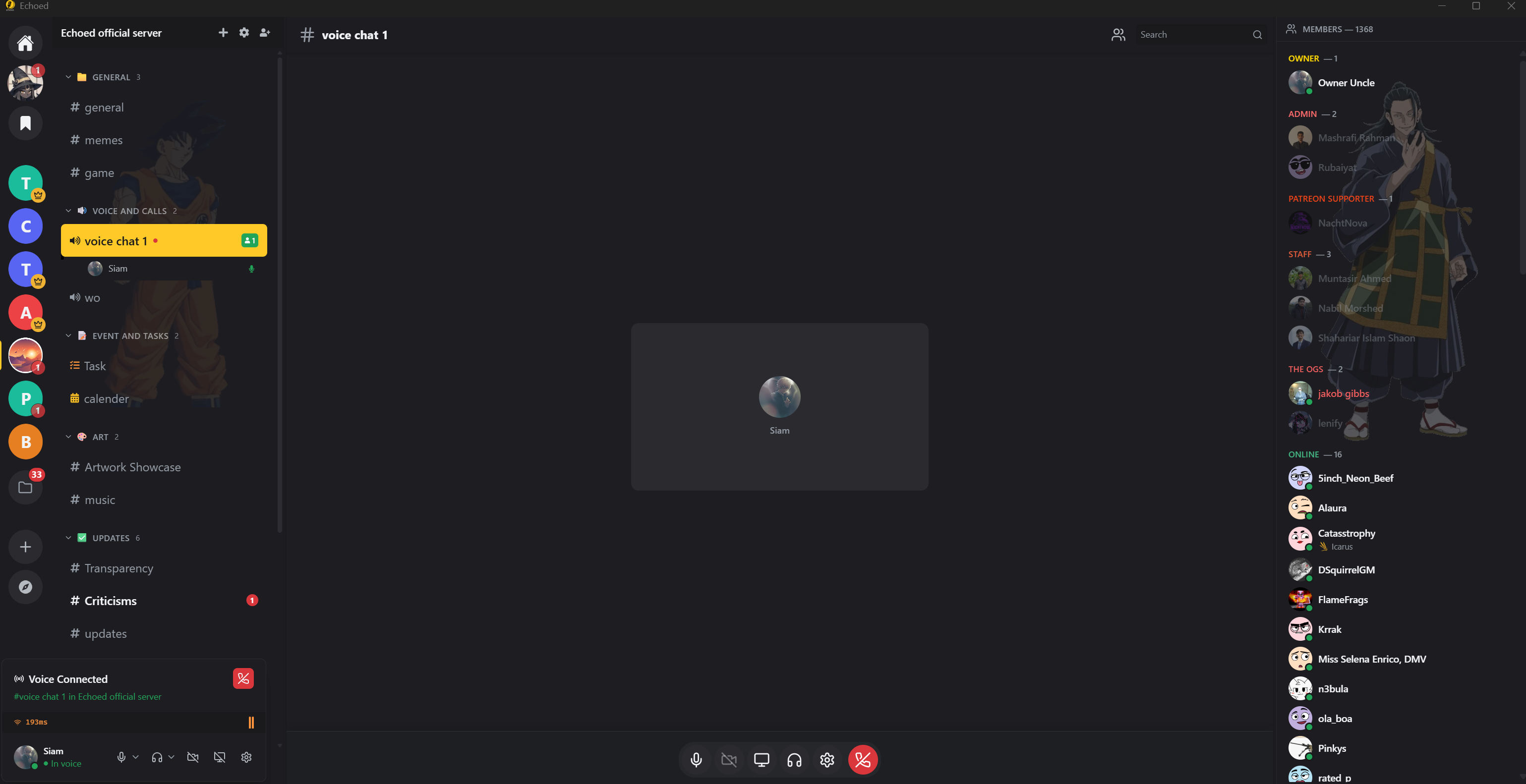 Echoed gallery image