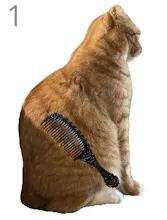 Brush Jjaemu Cat gallery image