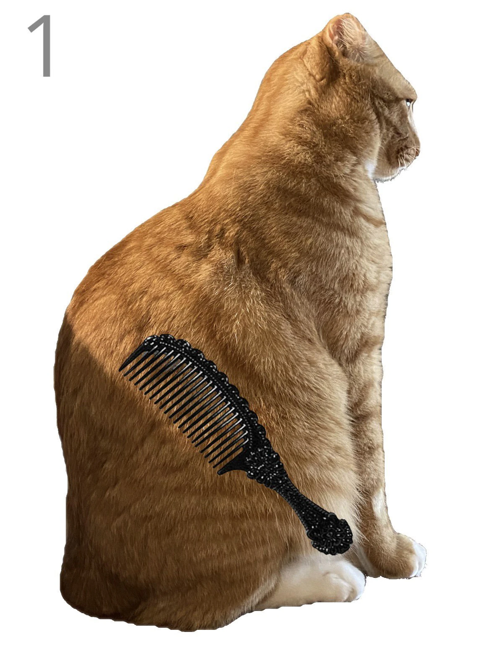 Brush Jjaemu Cat screenshot 1