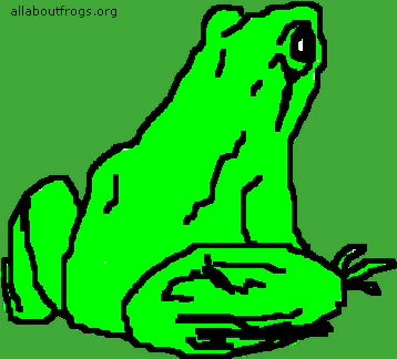 All About Frogs