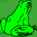 All About Frogs