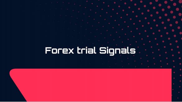 best signal provider for Forex media 2