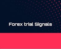best signal provider for Forex media 2