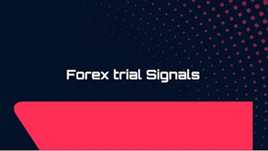 best signal provider for Forex gallery image