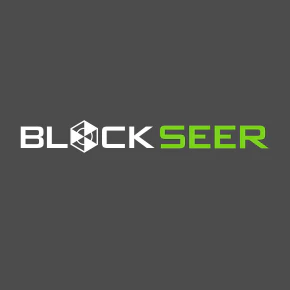 BlockSeer 