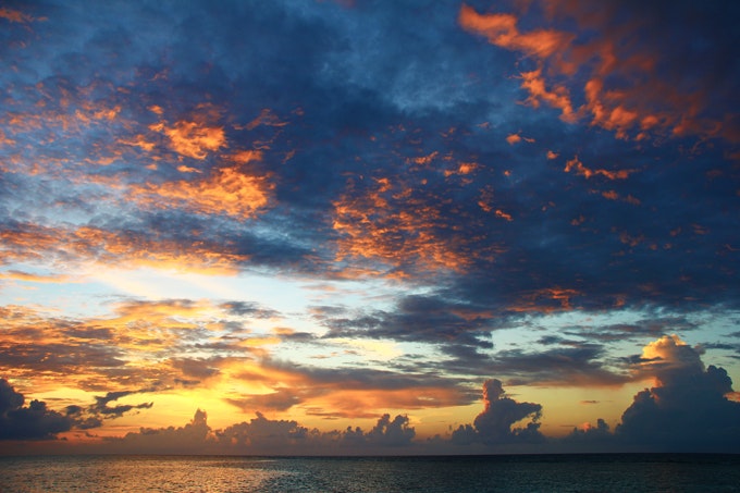 Stocky gallery image