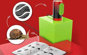 Nature of Form gallery image