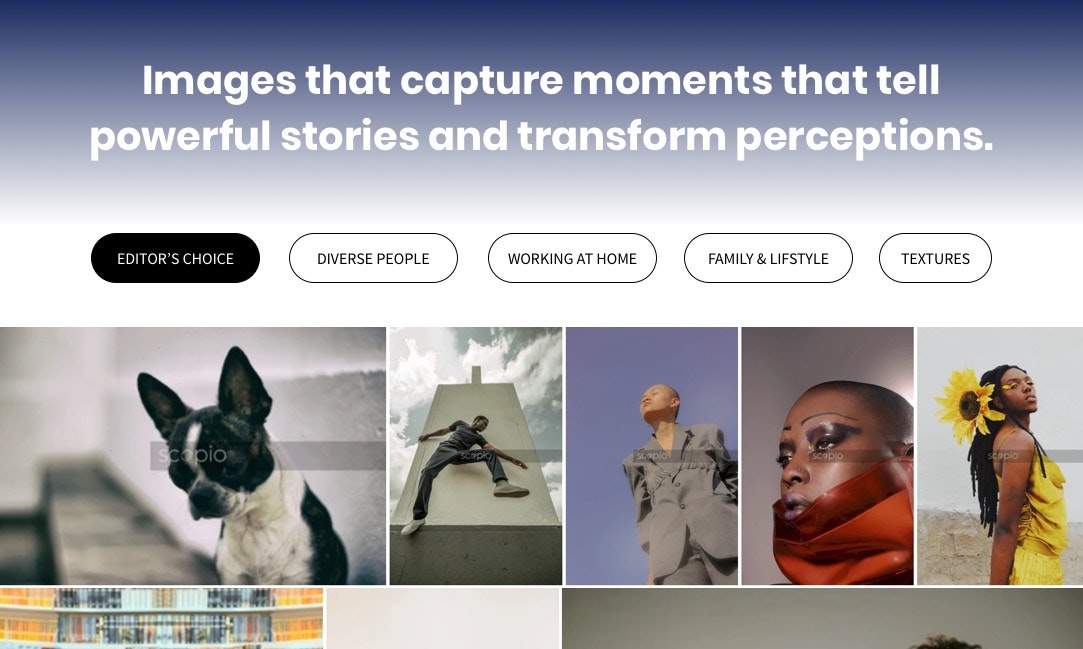 Scopio 3.0 gallery image