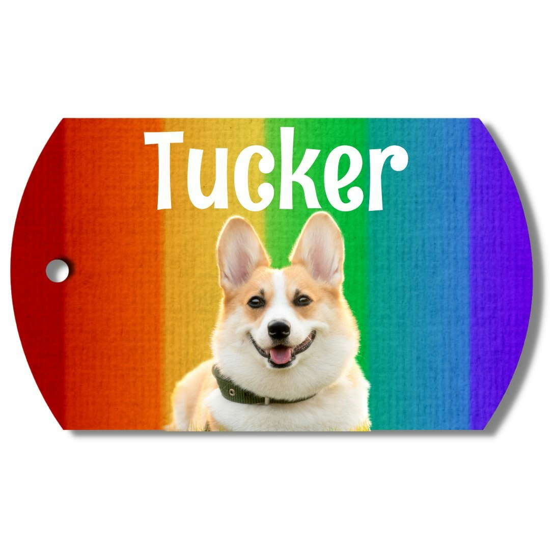 Photo Tag (Rainbow) gallery image