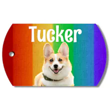 Photo Tag (Rainbow) gallery image