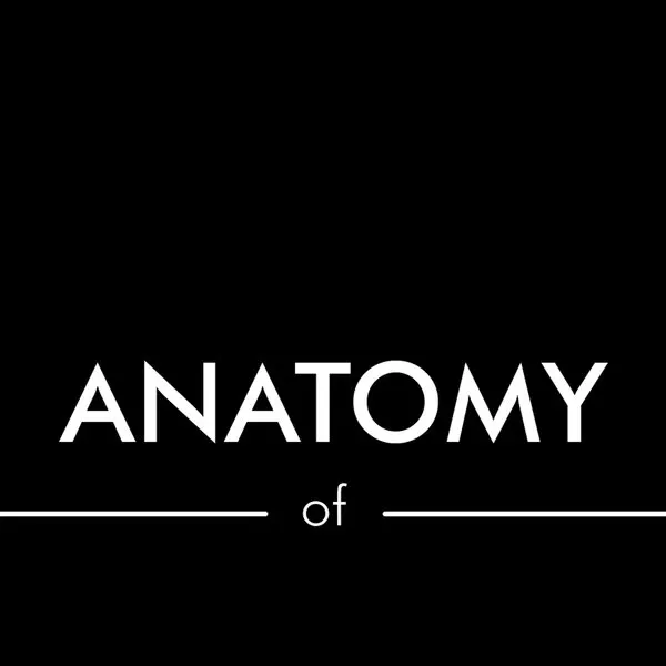 Anatomy - Anatomy of Jessica Hopper, Pitchfork Snr Editor