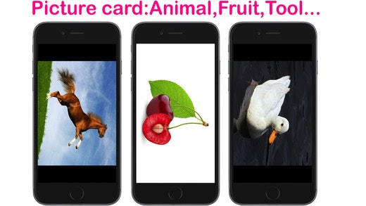 500+ Flashcards Animal,Word,Dots for Baby Learning gallery image