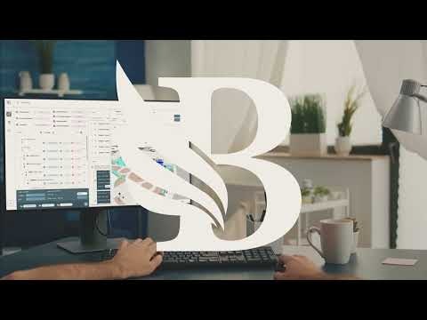 BidLight gallery image