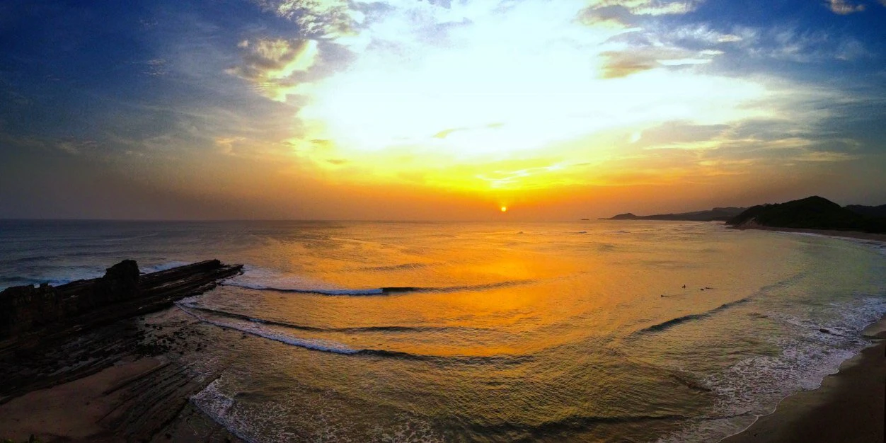 John Alexander cover