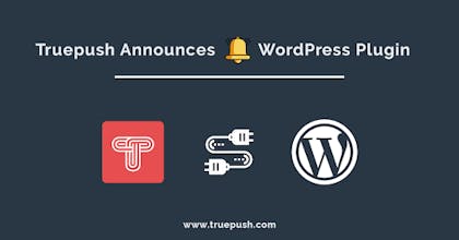 Truepush Wordpress Plugin gallery image