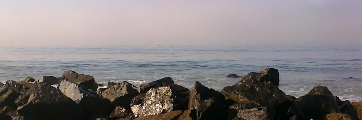 Zachary Collins cover