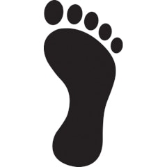 Digital Footprint Check