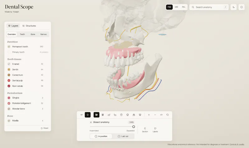 Dental Scope screenshot 6