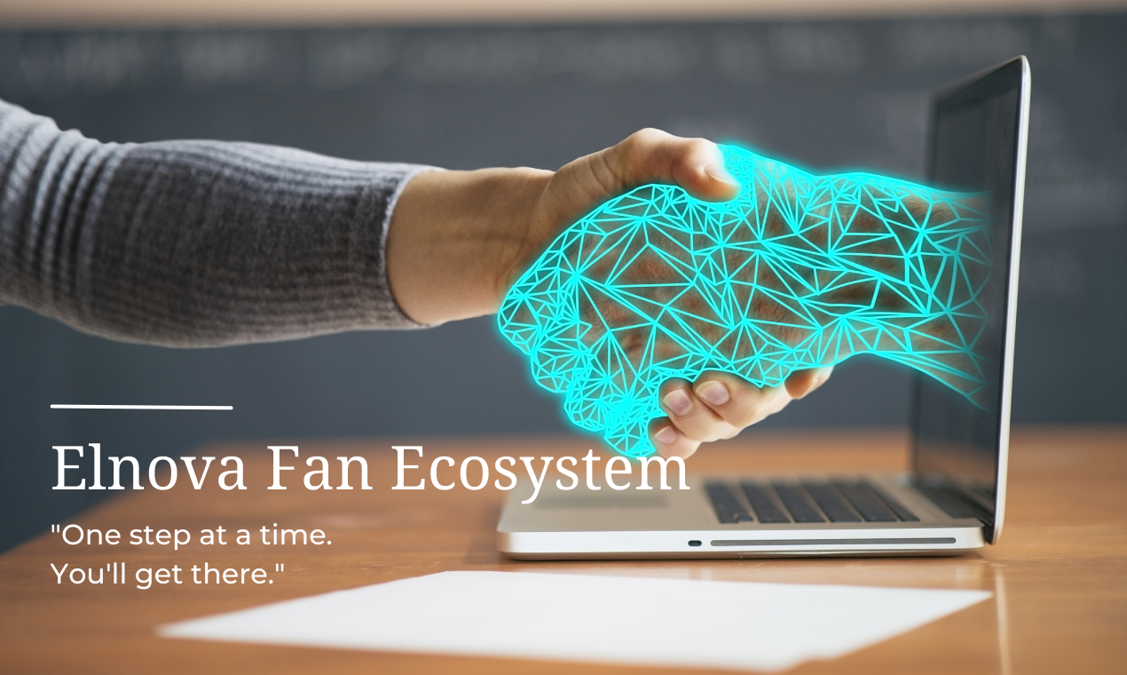 Fan de Elnova media 5