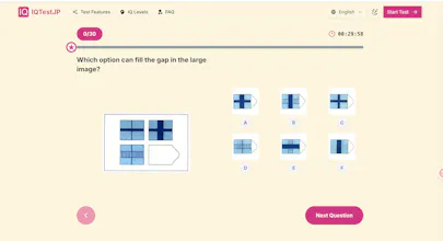 2025 Precise Online IQ Test | IQTestJP gallery image