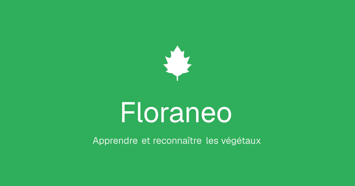 Floraneo gallery image