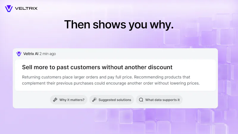 Veltrix AI for E-commerce screenshot 5