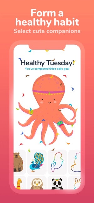 Waterllama gallery image